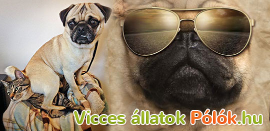 Vicces kutyás képek